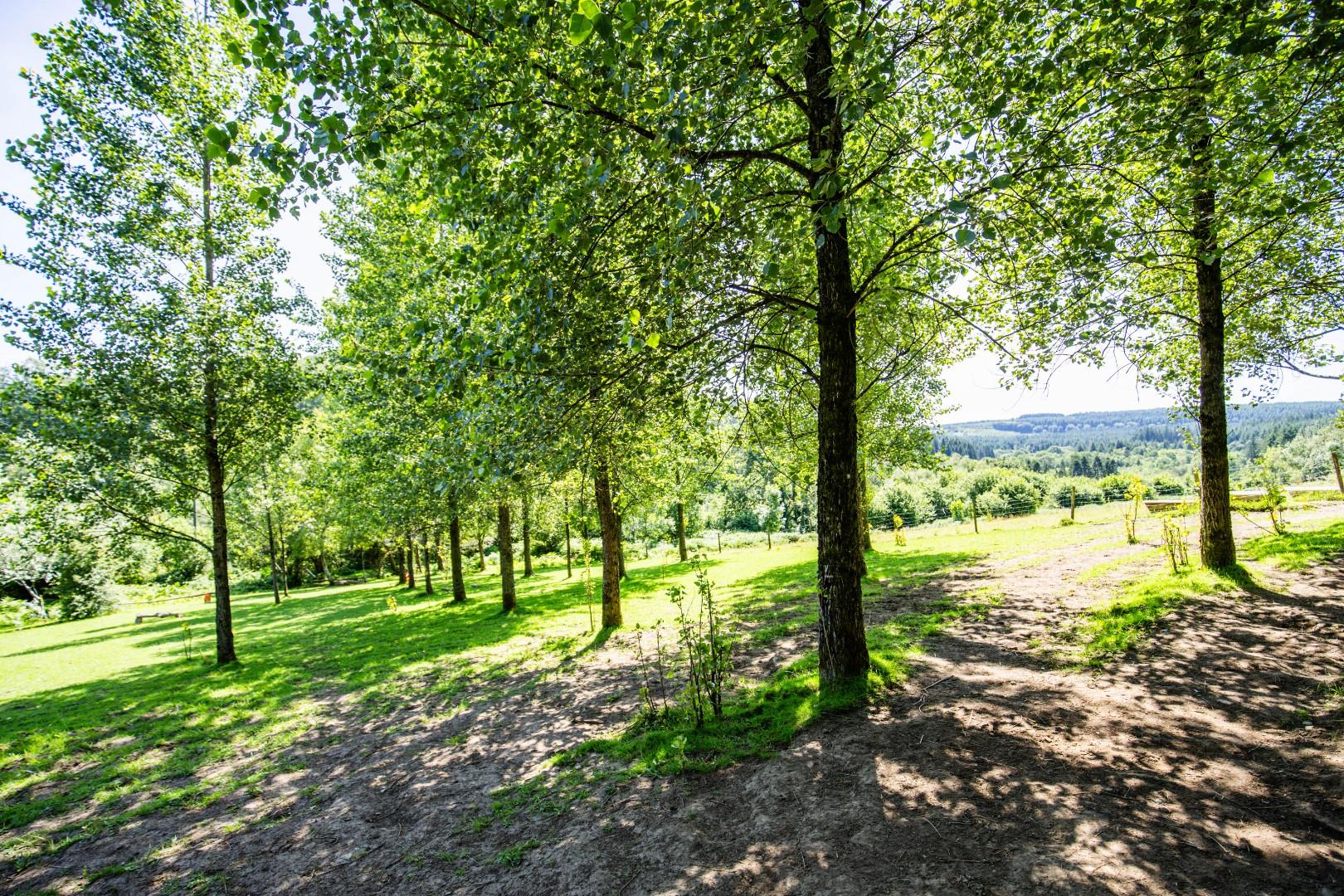 Gelliwrgan Farm, Gelli Wrgan Road, Ynysbwl, Pontypridd, CF37 3PG